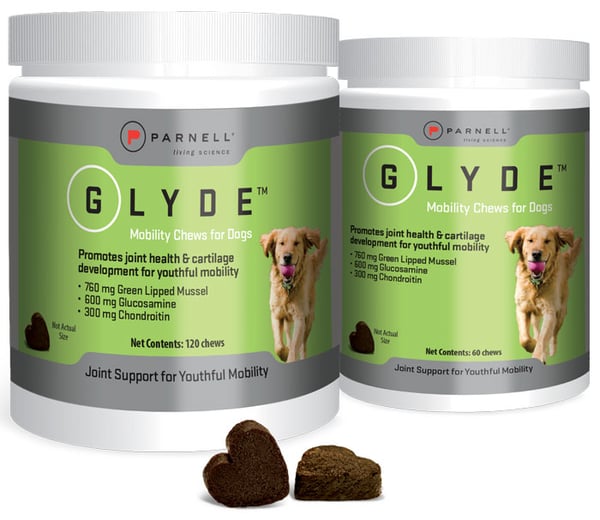 Glyde Mobility Chews for Dogs