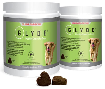 Glyde Mobility Chews