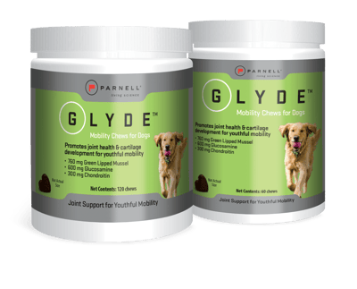 Glyde Mobility Chews for Dogs
