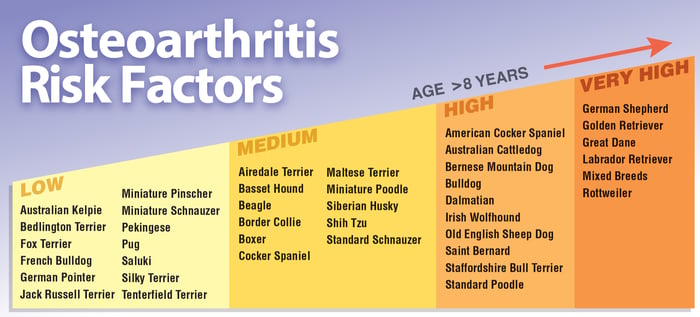 Arthritis Risk Factors in Dogs Chart