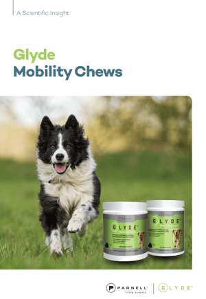 Glyde Mobility Chews: The Premium Joint Health Choice for Clinics