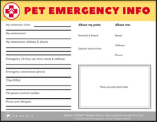 pet emergency form sample view