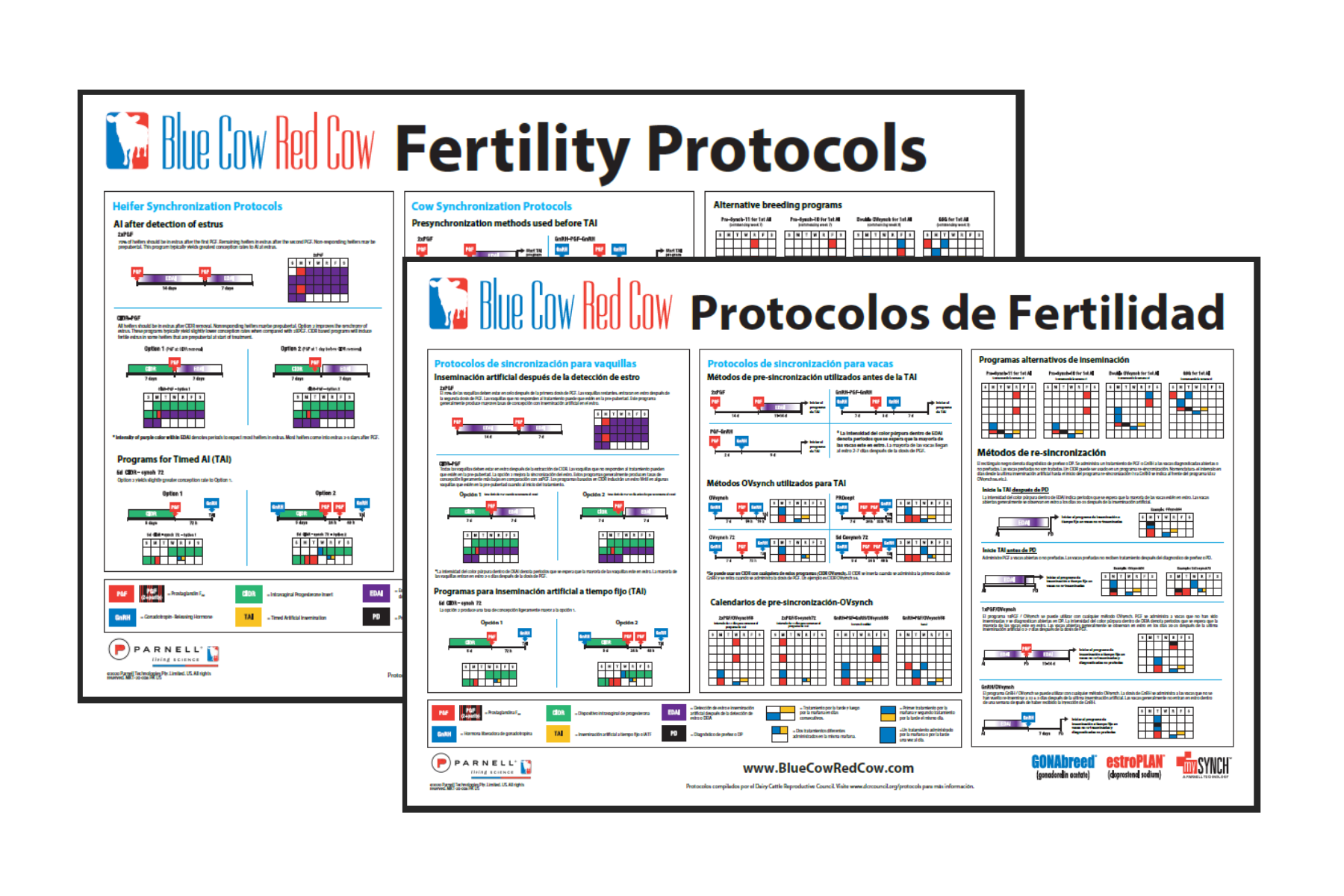 Fertility Protocol Poster