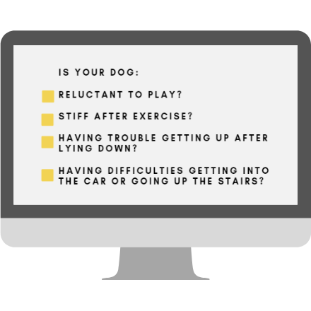 Arthritis dog checklist
